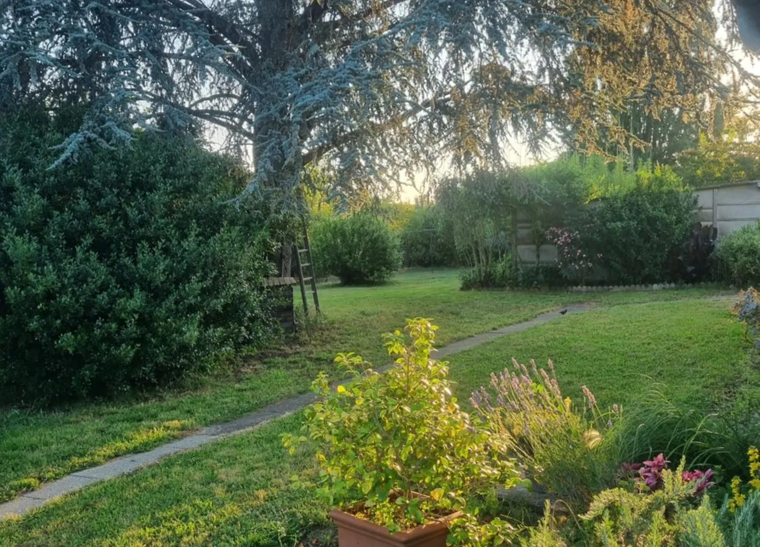 L'Oustalet Classe 2 Etoiles Carbonne Сasa de vacaciones